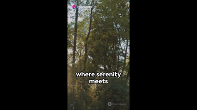 Blissful Aura CBD: A Sweet Respite in a Gummy