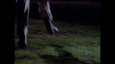 Embrujadas 1x12  El hombre lobo