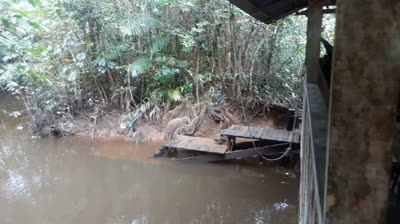 Week-end dans la forêt d'Amazonie