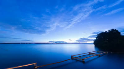 Naturaleza antinatural