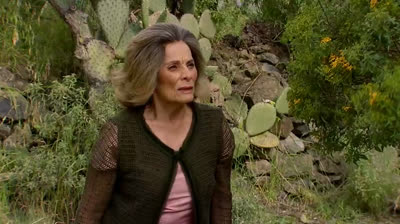 C-81 Propuesta y venganza