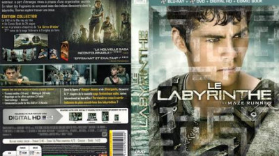 le labyrinthe(the maze runner)(2014)